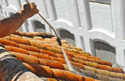 Nettoyage de toitures - Saint-Genis-Pouilly